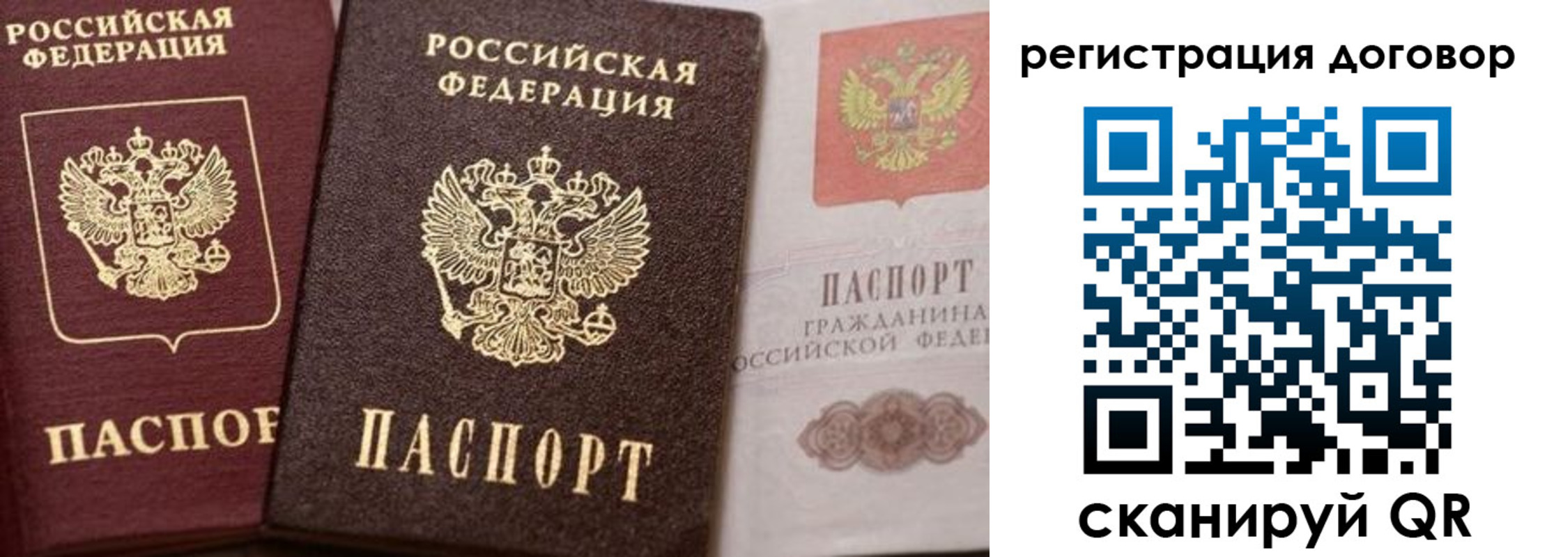 прописка 2025 в Новозыбкове